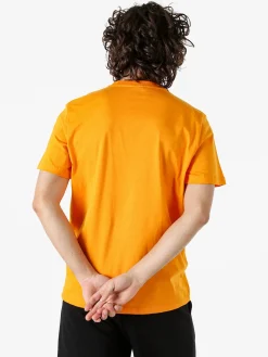 Pyrex T-shirt da uomo in cotone con logo - arancione