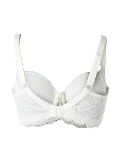 Verde Veronica AR14 Reggiseno imbottito preformato con ferretto coppa E - panna