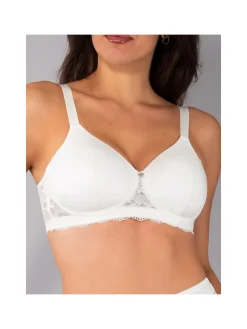 Verde Veronica AR14 Reggiseno imbottito preformato con ferretto coppa C - fango